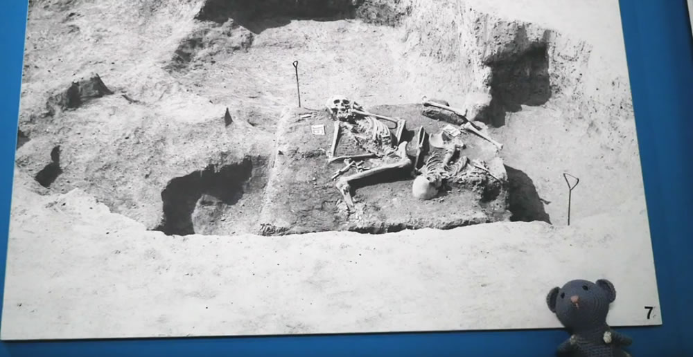 Епизода 3 – Костур главом и брадом