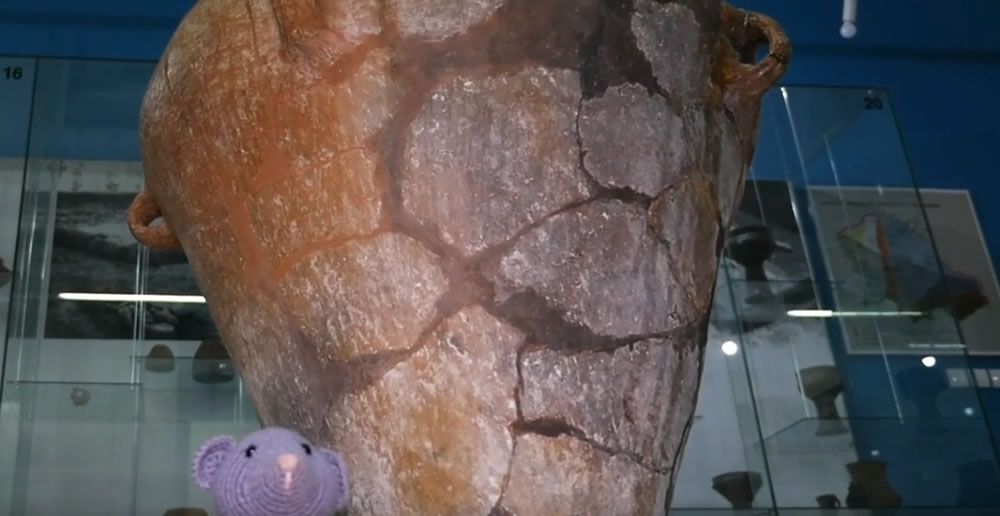 Епизода 6: Конзерваторске пузле