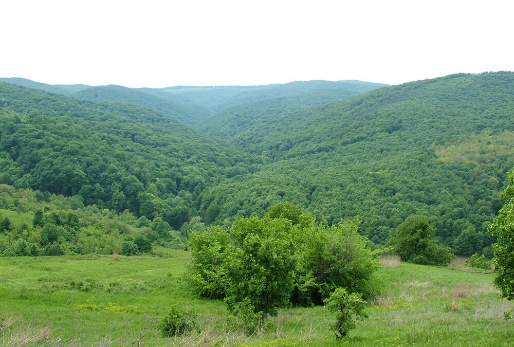 Предавање „Природне вредности Фрушке горе“