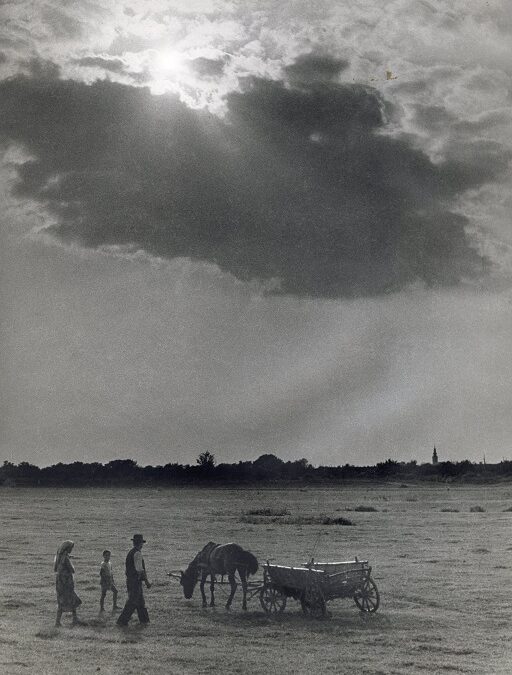 Изложба фотографија „Заједно према светлости“