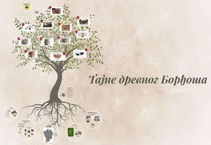 Међународни дан археологије 2016.