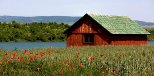 Све боје Фрушке горе