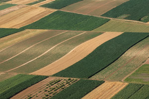 Годишња изложба фоторепортера Новог Сада и Војводине „Објективно“