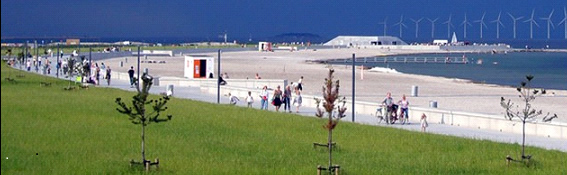 Предавање за почетнике „Данско лето обожавам те иако си ме толико пута изневерило“