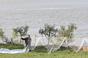 Вођење кроз изложбу „Срем – ожиљак и лек“