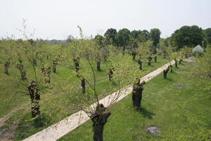 Изложба фотографија „Срем – ожиљак и лек“